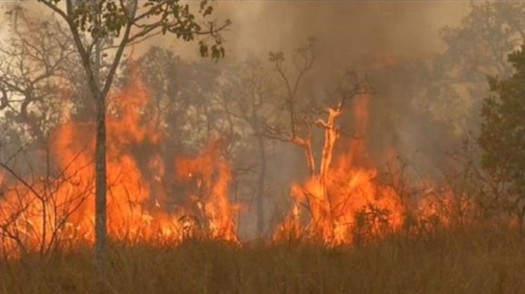 브라질 중서부 지역에 있는 세계적인 열대 늪지 판타나우에서 지난 7월부터 최근까지 역대 최악의 화재 사태가 계속되고 있다. 사진=브라질 글로부 TV.