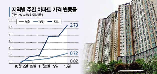 '뒷북' 조정대상지역 지정에 '혼란의 시장'