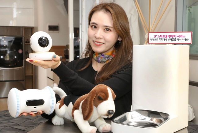 LGU+, 반려동물 전용기기·배상보험 등 신규 '펫케어' 서비스 출시