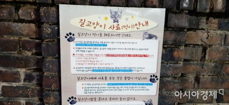 "고양이 불쌍해" vs "정말 민폐" 길고양이 돌봄 논란 [한기자가 간다]