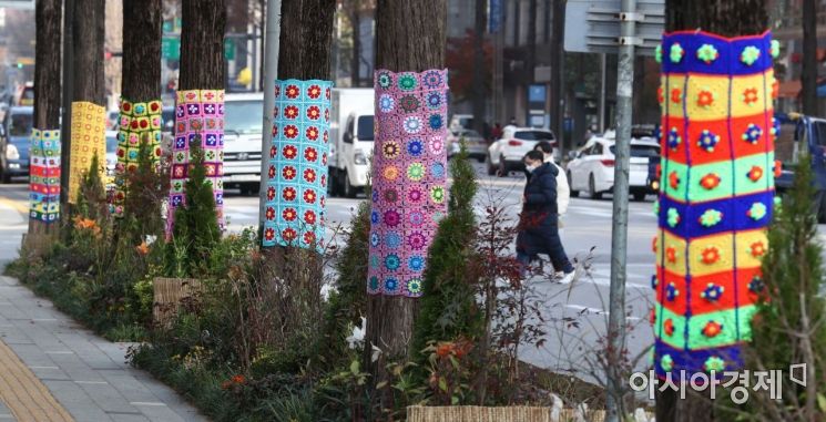 [포토]겨울 준비하는 가로수 