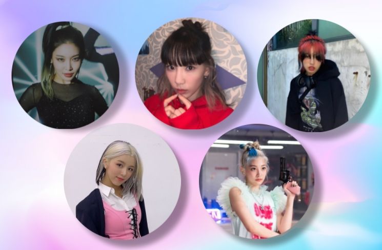 사진=각 인스타그램