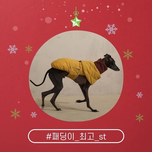 사진=러브코코 홈페이지