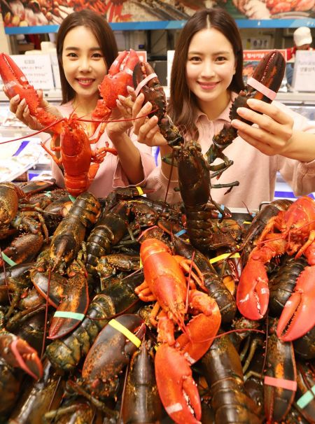 "직소싱의 힘" 롯데마트, 연어·랍스터 가격 전년比 20% ↓