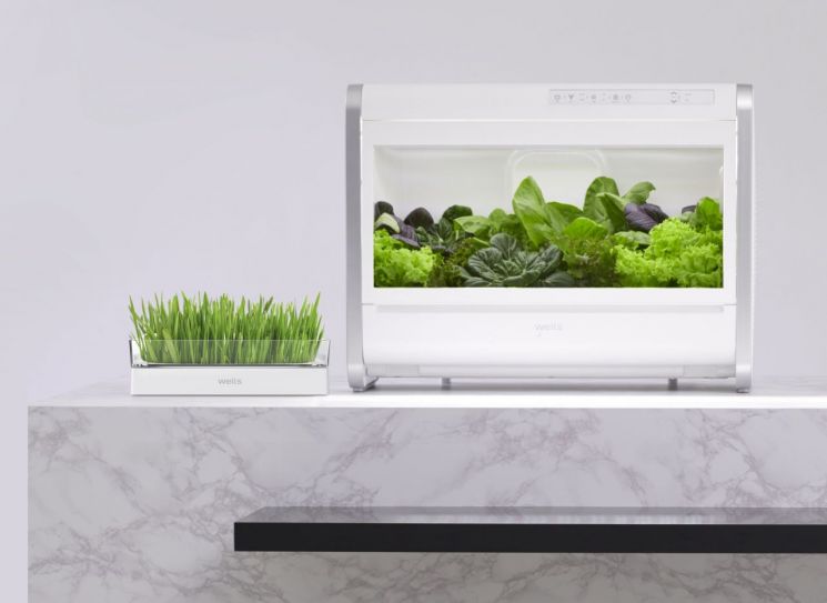 Kyowon Wells Surpasses 800,000 Rental Accounts... 14% YoY Increase Driven by Strong Sales of Water Purifiers and Plant Cultivators