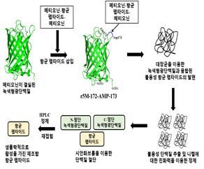 국내 연구팀, 생산비 33% 낮춘 젖소 치료제·돼지 백신 개발 성공