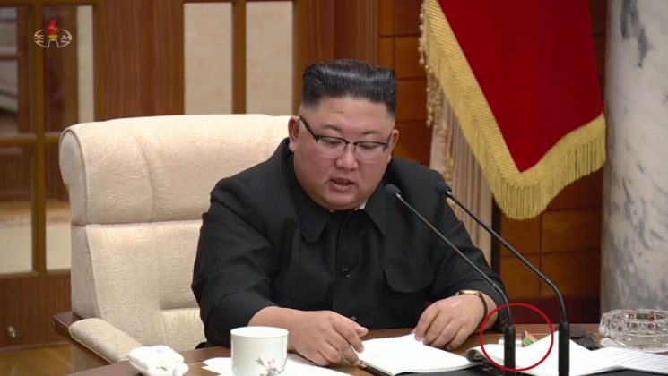 WHO "북한 사망원인 1위 뇌졸중…전염병으론 결핵"