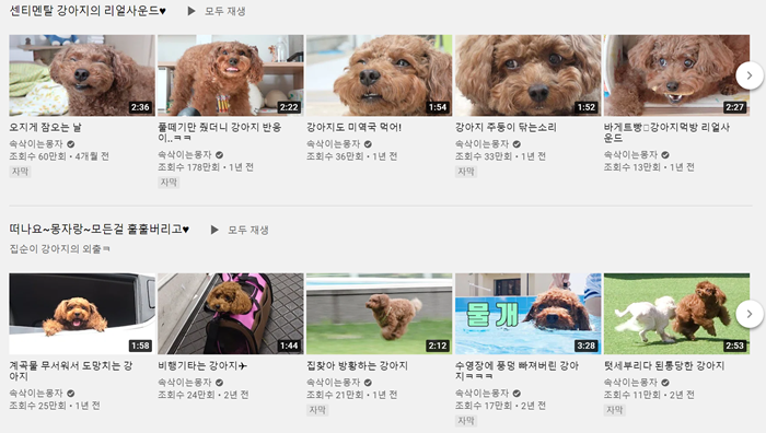 속삭이는 몽자 유튜브 채널