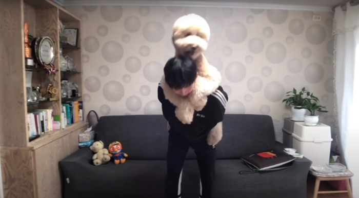 그 강아지, 사람일지도 몰라