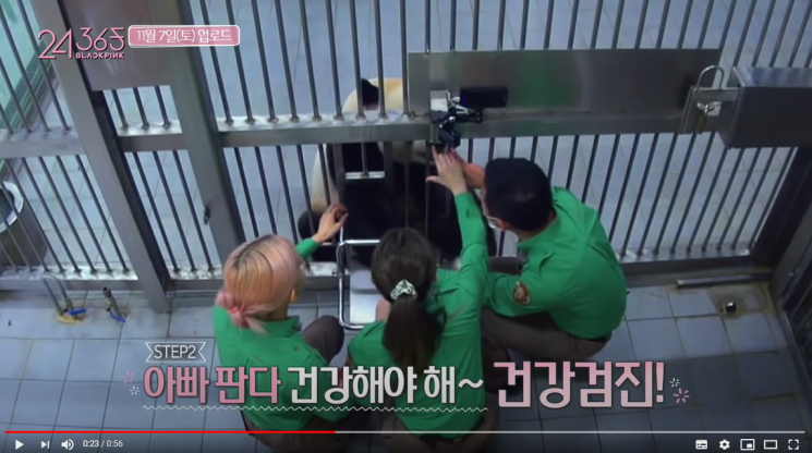 사진=블랙핑크 공식 유튜브 채널 영상 캡쳐