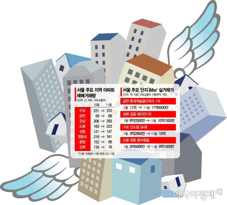 임대차 2법에 다시 '패닉 바잉'… '백약이 무효'