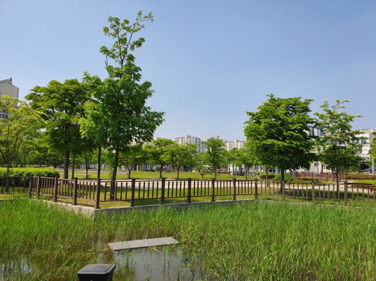 2050년까지 대전에 ‘도시 숲’ 1000개 조성