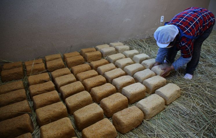  [포토] 전통 방식 메주 만들기 