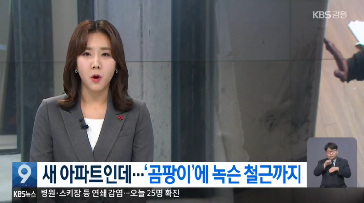 18일 KBS는 동해에서 올해 2월 준공된 한 신축 아파트 집안 곳곳에서 시커먼 곰팡이가 발견됐다고 보도했다. 사진=KBS뉴스 방송화면 캡처.
