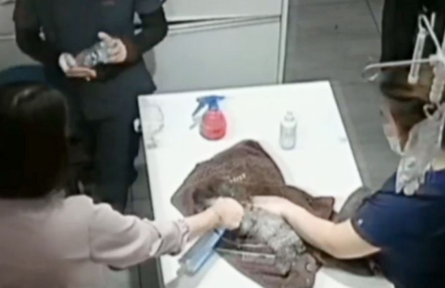 탈취제 뿌리고 '깔깔' 학대 논란 동물 병원, 견주 명예훼손 고소