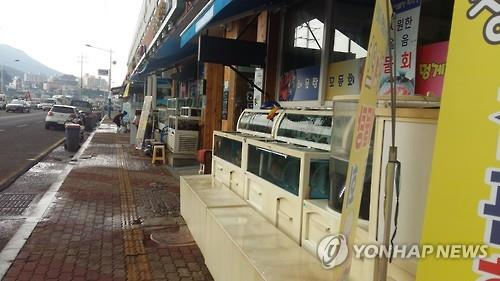 "물고기도 고통을 느낄까요?" 횟집 수족관 '물고기 학대' 논란 [한기자가 간다]