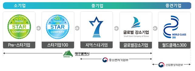 대구시 성장사다리형 육성체계.
