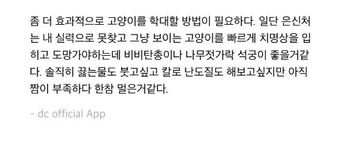 "새벽에 고양이 사냥 나간다"... 이번엔 '고양이 살해' 예고 