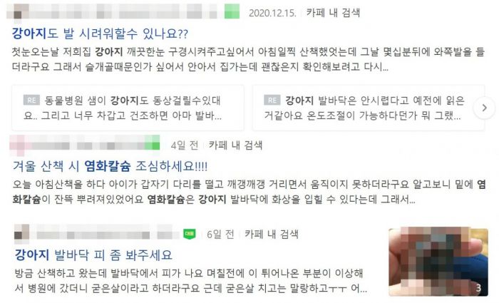 '강사모'(강아지를 사랑하는 모임) 등 온라인 커뮤니티에서는 겨울철 강아지 산책과 관련해 문의 글이 올라오고 있다. 사진=네이버 화면 캡처
