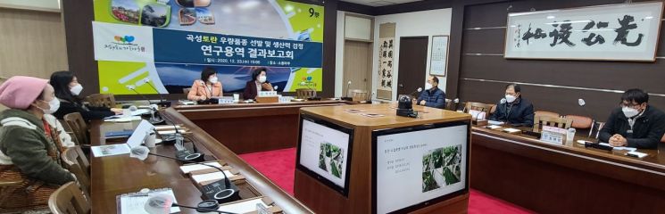 곡성군, 토란 명가 성큼 지역 대표할 토란 우량품종 선발