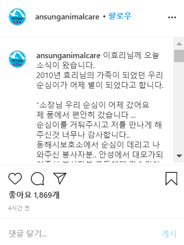 가수 이효리가 입양해 키우던 반려견 순심이가 23일 세상을 떠났다. 사진=평강공주보호소 SNS 갈무리.