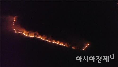 경주 안강읍 도덕산 산불 모습.