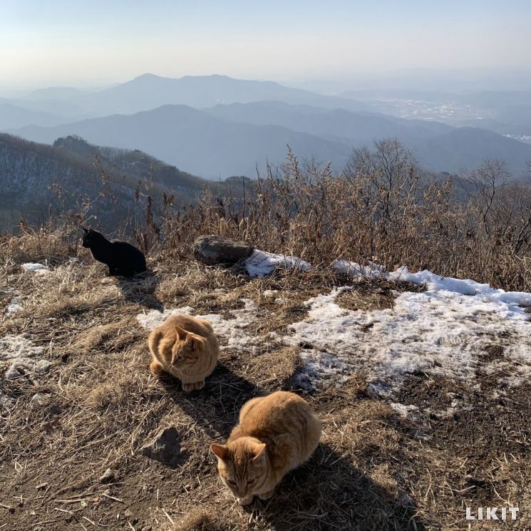파주 감악산 정상