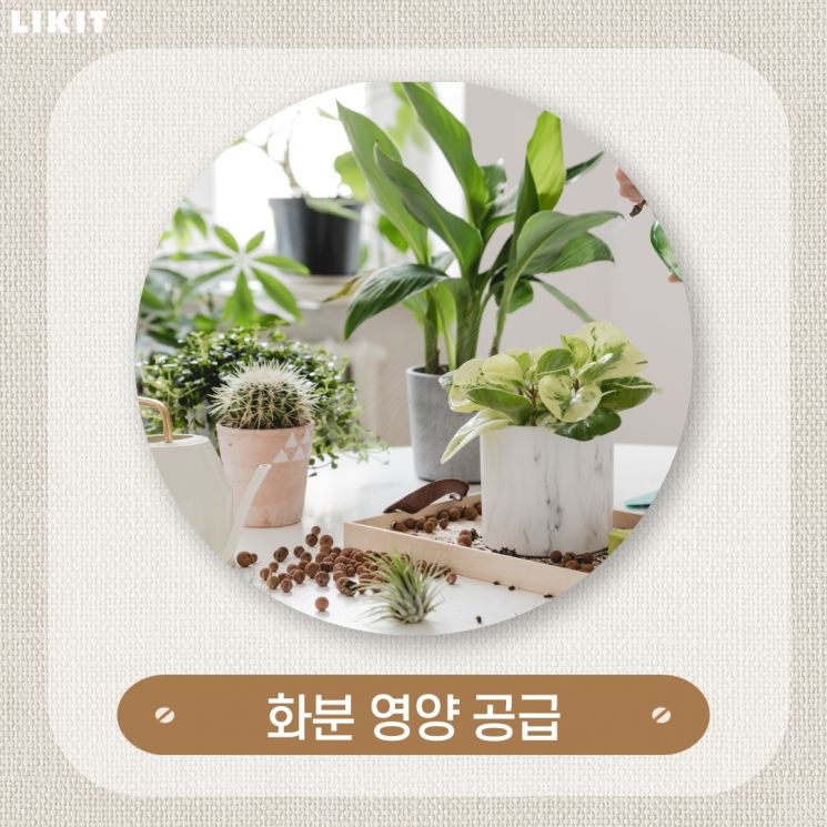 사진=미리캔버스