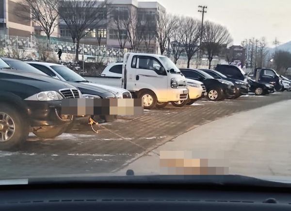 혹한에 강아지를 매달고 달린 것으로 의심되는 사진 한장이 인터넷에 공개됐다. 사진=동물권 단체 '케어' 페이스북 캡처