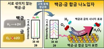 금-백금 나노입자 합성 모식도(왼쪽)와 촉매 성능 평가(오른쪽)