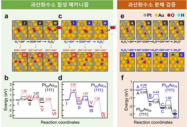 계산과학을 통해 입증된 금-백금 나노입자 촉매의 과산화수소 생산 메커니즘