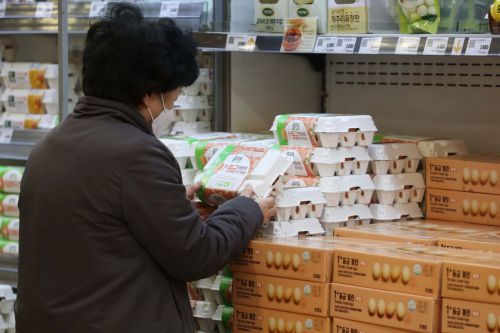 유통업계, 정부와 물가 잡는다…배추·무·계란 20% 할인