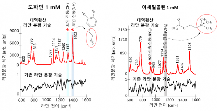 도파민과 아세틸콜린을 대역확산 라만 분광 기술로 측정한 스펙트럼