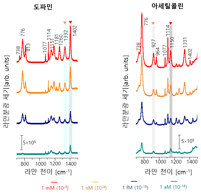 도파민과 아세틸콜린의 다양한 농도에서 대역확산 라만 분광 기술로 측정한 스펙트럼