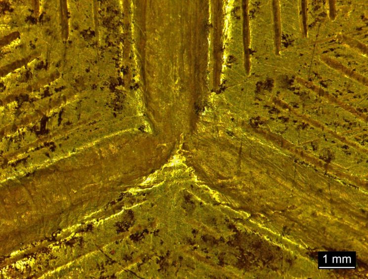 Sejong Bell Queen Sohyeonwanghu Sangsiho Turtle Shell Pattern Microscope Photo
