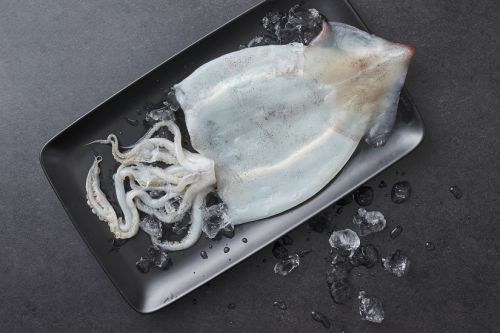 마켓컬리, '믿고 먹는 컬리 수산' 기획전…최대 45% 할인