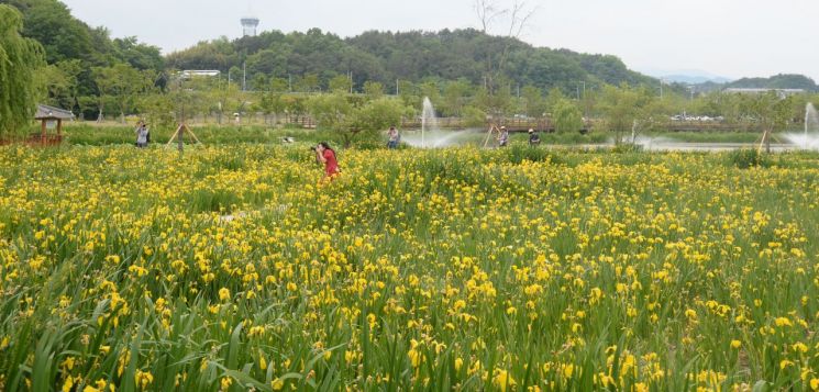 거창군 창포원, 경남도 '지방정원 1호' 등록 … "국내 최대 수변 생태공원" 