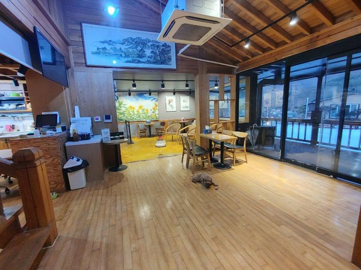 별이되어, 체계적인 장례 서비스로 강아지 화장부터 고양이 장례식 등 전문 동물 장례 서비스 제공