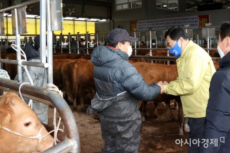 주낙영 경주시장이 25일 경주가축시장을 찾아 축산농가를 격려하고 있는 모습.