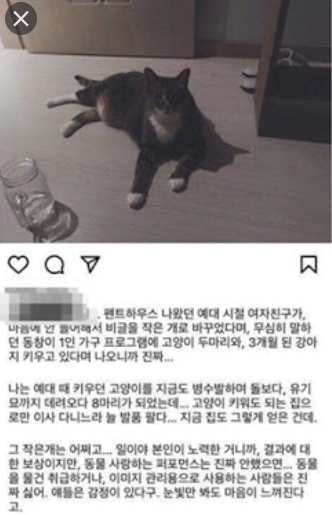 한 네티즌이 SNS를 통해 '박은석이 과거 키우던 강아지를 파양했다'고 주장했다. 사진=SNS 캡처.