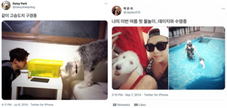 온라인에서 공유되고 있는, 배우 박은석이 현재 키우지 않는 반려동물 사진. 사진=온라인 커뮤니티 캡처.