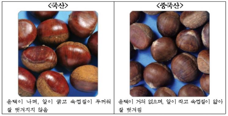 설 앞두고 수입 농산물 유통…"허위 원산지 포상금 최대 천만원"