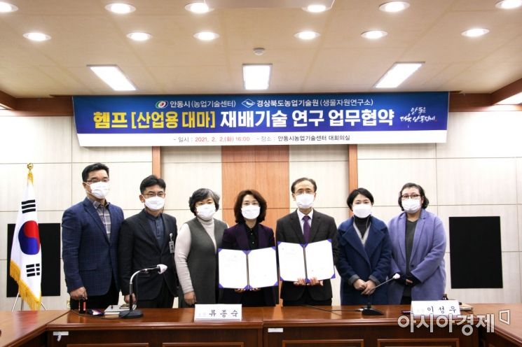 '헴프 규제자유특구' 안동시, '대마 재배기술' 연구 업무협약