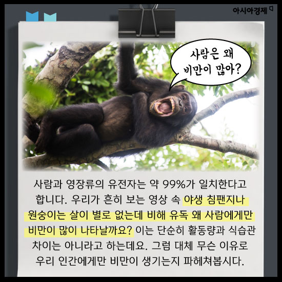 [카드뉴스]원숭이보다 지능이 우수하기 때문에 생기는 인간의 슬픈 운명