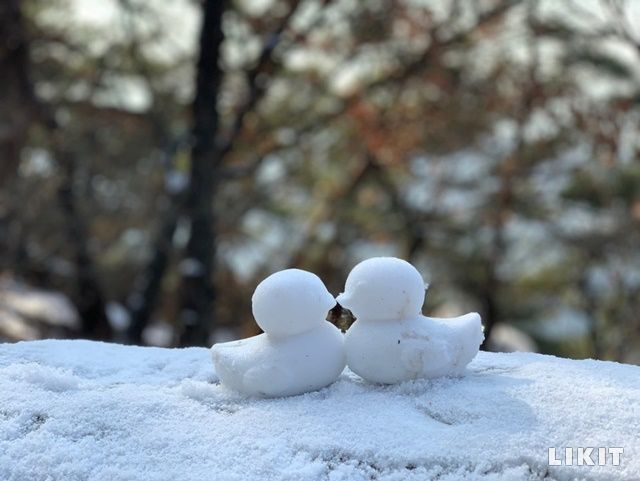 어린이 등산객이 만든 아차산 눈오리 커플