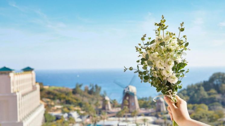 "오감 테라피 봄캉스" 롯데호텔 제주, '봄(B.O.M.)' 패키지 선보인다