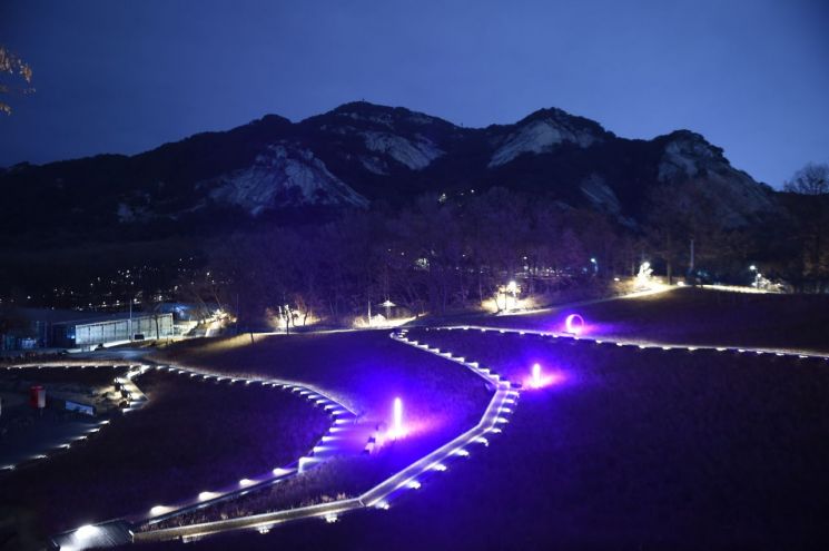 불암산 불빛정원