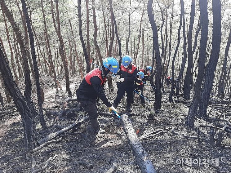 사진은 지난해 3월23일 경북 경주시 동촌동 인근 산에서 산불 잔불 정리를 하고 있는 모습.