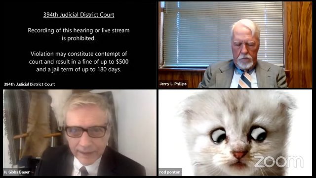 폰튼 변호사가 '아기 고양이'로 변한 모습. [이미지출처 = 유튜브 채널 '394th District Court of Texas' 캡처]