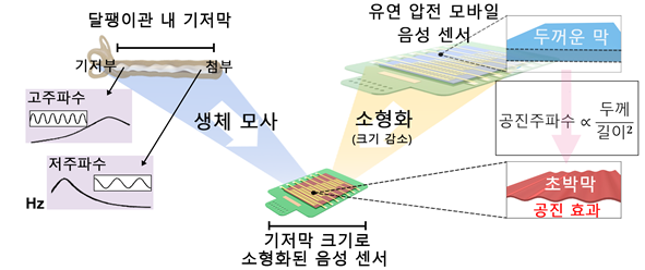 사진제공=한국과학기술원(KAIST).